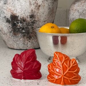 Red and Orange Autumn Leaf Salt and Pepper Shakers